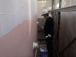 20151111_250_PB110004_s-s-s