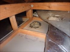 20151112_230_PB120047_s_s