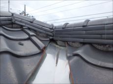 20151112_230_PB120062_s_s