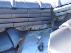 20151116_230_PB160229_s_s