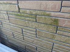 20151207_230_PB270968_s_s