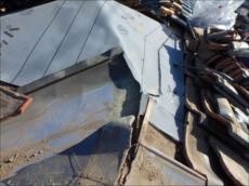 20151207_230_PC071346_s_s