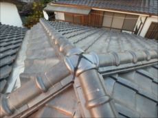 20151208_230_PC081551_s_s