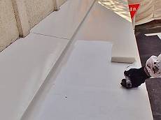 20151209_230_PC090031_s_s