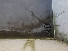 20151211_230_PC111998_s_s