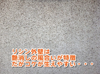 PB121344_640リシン外壁は艶消しの風合いが特徴-thumb-350xauto-9368