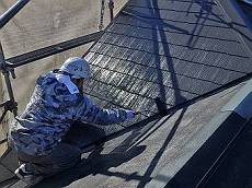 20160109_230_P1090616_s_s_s