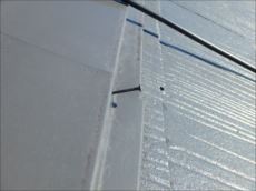 20160109_230_P1091768_s