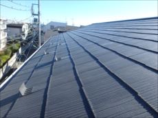 20160109_230_P1091781_s