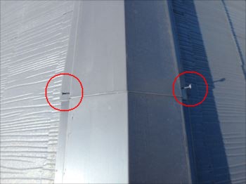 20160109_350_P1091770_s