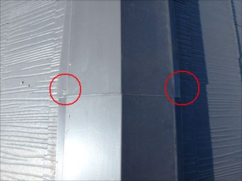 20160109_350_P1091771_s