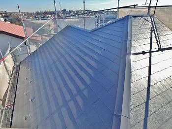 20160116_350_P1141931_s