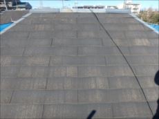 20160120_230_P1200297_s_s