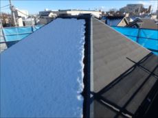 20160120_230_P1200306_s_s