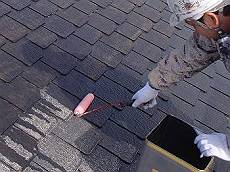 20160121_230_P1210007_s_s