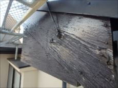 20160125_230_P1250861_s_s