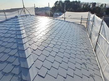 20160128_350_P1281301_s