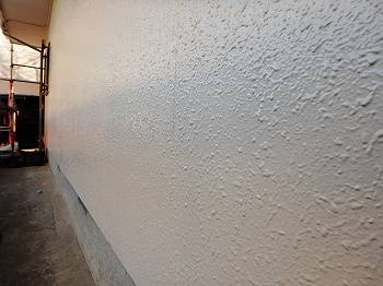 20160128_350_P1281447_s