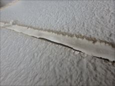 20160129_230_P1291489_s