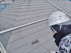 20160201_230_P2010195_s_s