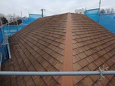 20160201_350_P2011589_s_s