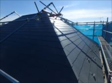 20160202_230_P2021766_s_s