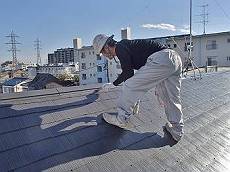 20160202_350_P2020012_s_s