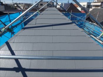 20160202_350_P2021761_s_s