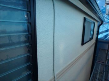 20160202_350_P2021784_s_s