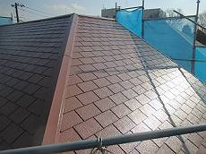 20160204_350_IMG_0352_s_s