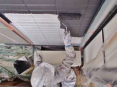 20160205_350_P2050005_s_s