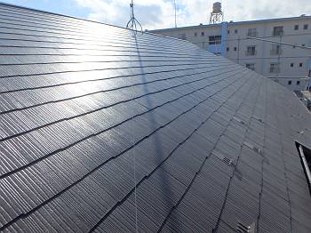 20160208_350_P2080079_s