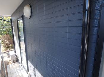 20160208_350_P2080214_s