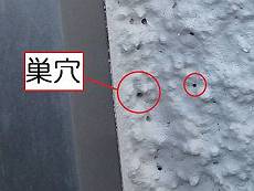 20160210suana_350_P2090598_s_s