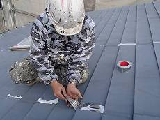 20160212_350_P2120004_s_s