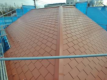 20160212_350_P2120523_s