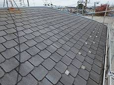 20160222_350_P2220975_s_s