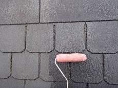 20160224_350_P2240007_s_s