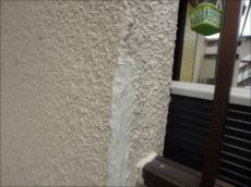 20160229_230_P2291601_s_s