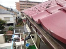 20160229_230_P2291621_s_s