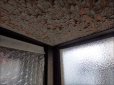 20160229_230_P2291630_s_s