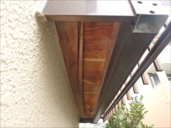 20160229_350_P2291563_s_s