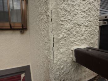 20160229_350_P2291586_s_s