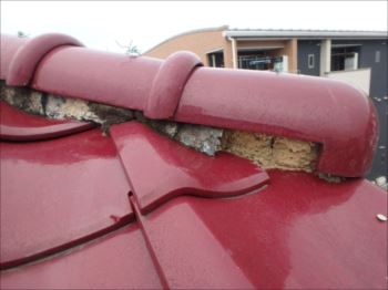 20160229_350_P2291605_s_s