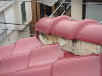 20160229_350_P2291612_s_s