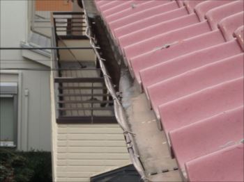 20160229_350_P2291622_s_s