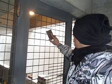 201602_230_P2120225_s