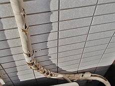 20160301_350_P3010007_s_s