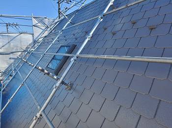 20160301_350_P3011649_s