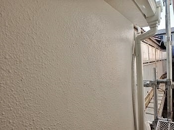 20160301_350_P3011684_s